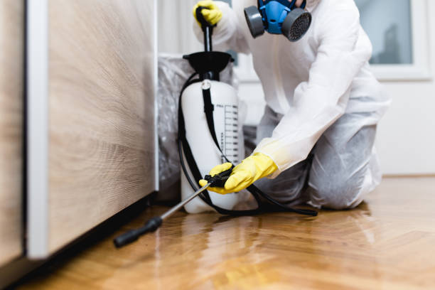 Best Pest Inspection Near Me  in Byrdstown, TN