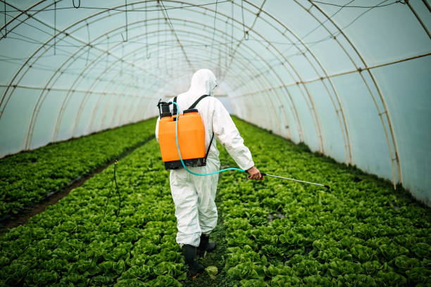 Best Mosquito Control Services  in Byrdstown, TN