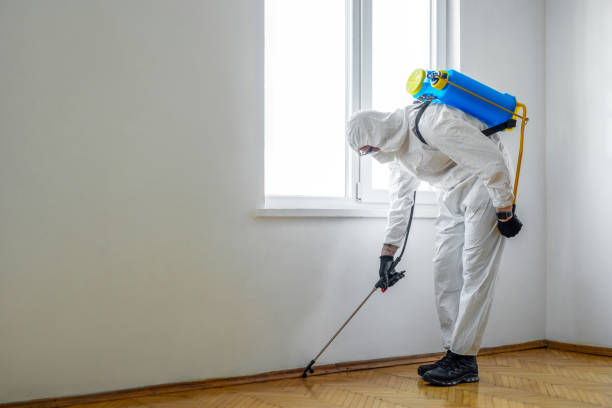 Pest Prevention Services in Byrdstown, TN