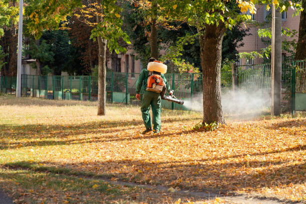 Best Spider Control Near Me  in Byrdstown, TN