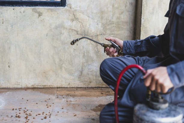 Best Commercial Pest Control Services  in Byrdstown, TN