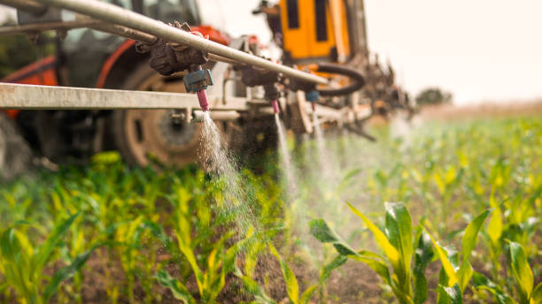 Best Wildlife Control Services  in Byrdstown, TN